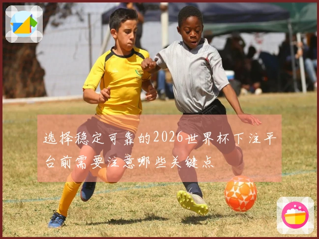 选择稳定可靠的2026世界杯下注平台前需要注意哪些关键点